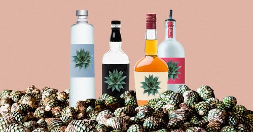 無酒精飲品如何實現“酒香四溢”？看國外酒企創新酒精飲料的三大路徑