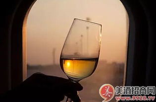 中國酒精飲料進(jìn)口市場(chǎng) 繁榮景象背后的消費(fèi)升級(jí)與多元選擇